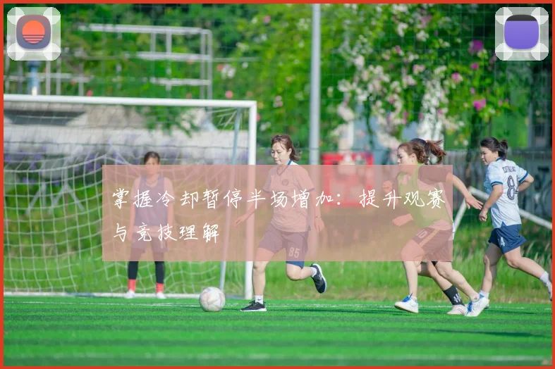 掌握冷却暂停半场增加：提升观赛与竞技理解