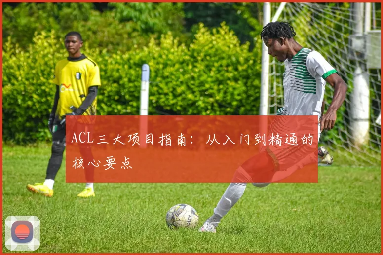 ACL三大项目指南：从入门到精通的核心要点