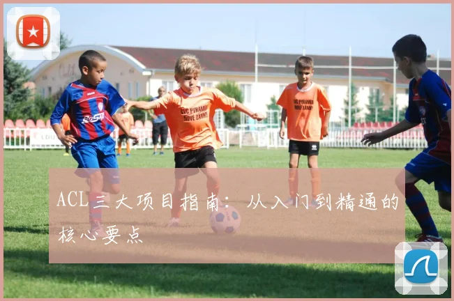 ACL三大项目指南：从入门到精通的核心要点