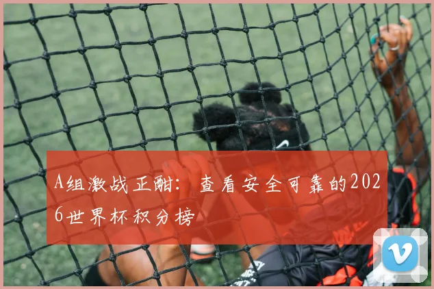 A组激战正酣：查看安全可靠的2026世界杯积分榜