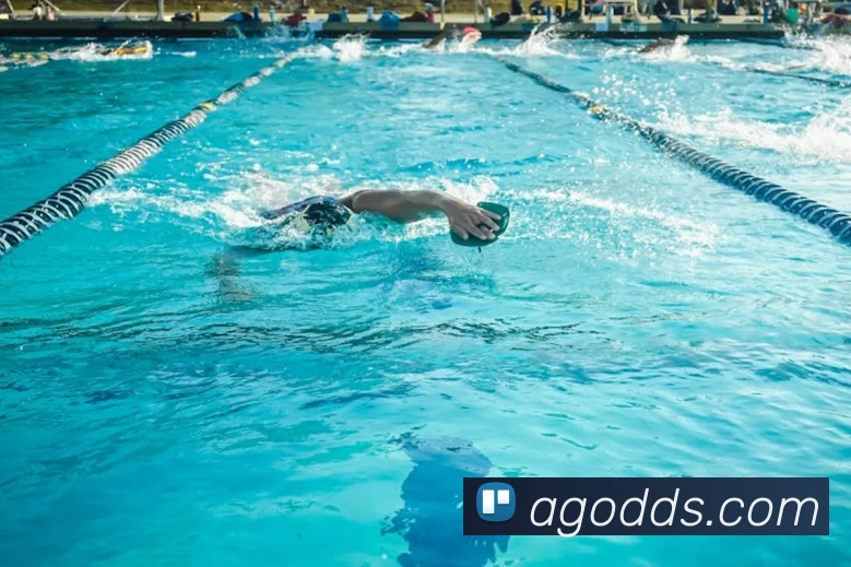 多媒体互动体验